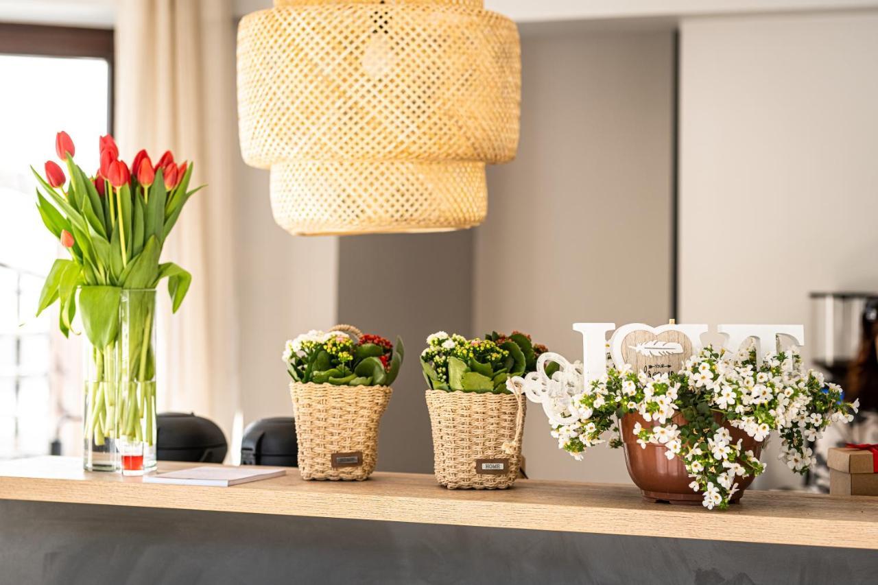 Hotel I Restauracja Czarny Kos 보르코보 외부 사진